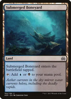 Submerged Boneyard 「AER/194」「EN」