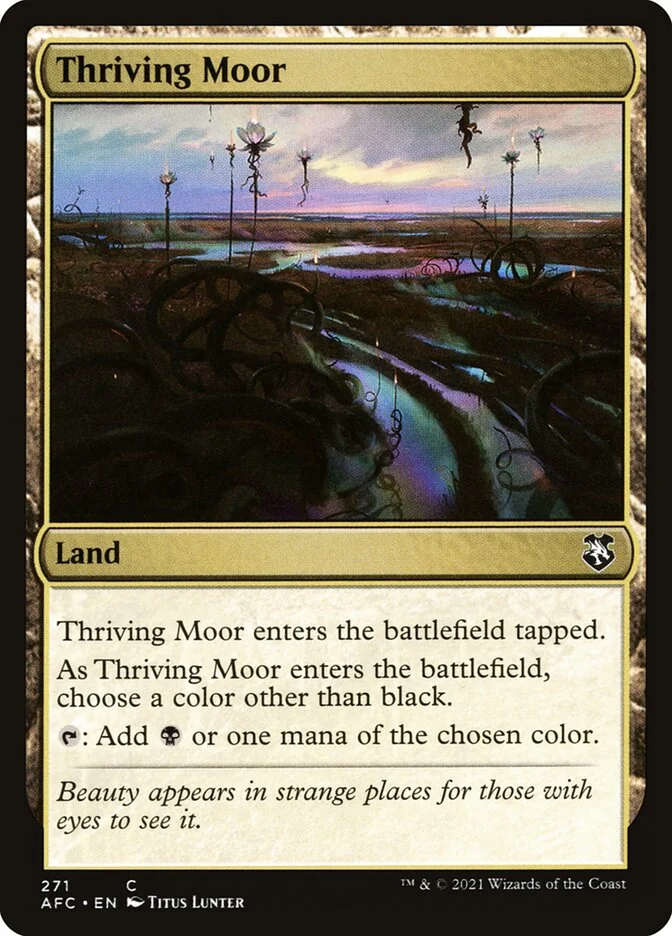 Thriving Moor 「AFC/271」「EN」