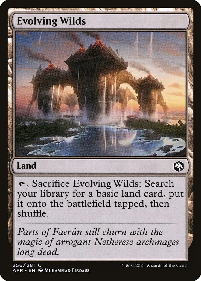 Evolving Wilds 「AFR/256」「EN」