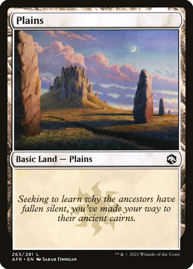Plains 「AFR/263」「EN」