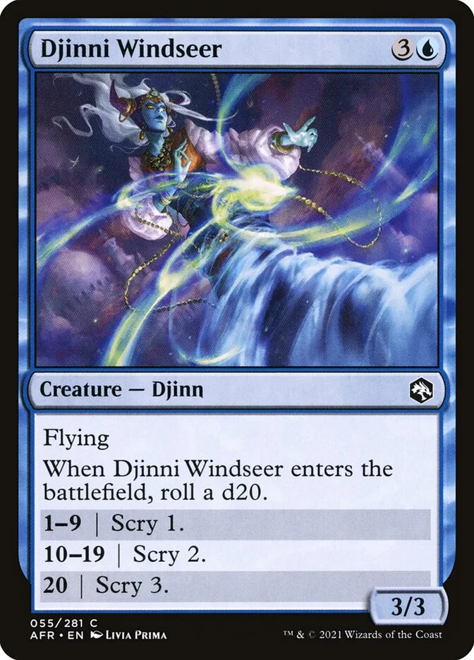 Djinni Windseer 「AFR/55」「EN」