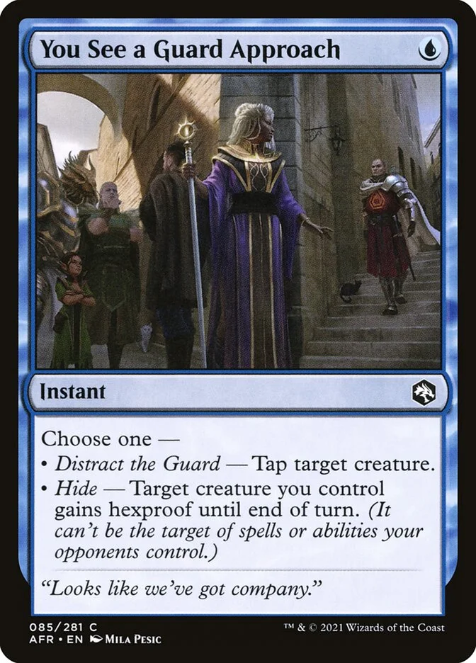 You See a Guard Approach 「AFR/85」「EN」