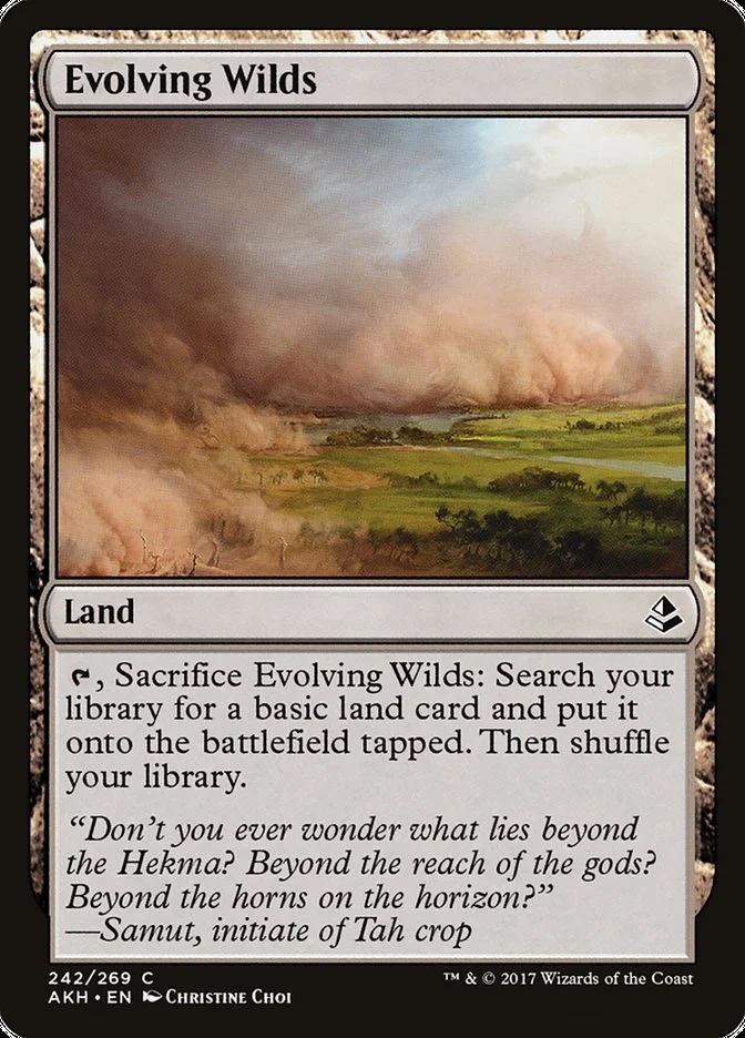 Evolving Wilds 「AKH/242」「EN」