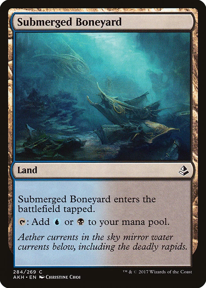 Submerged Boneyard 「AKH/284」「EN」