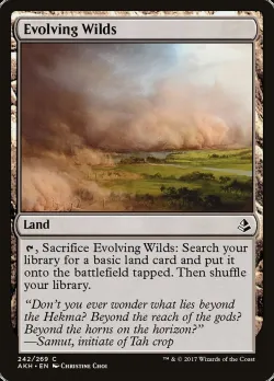 Evolving Wilds 「AKH/242」「EN」