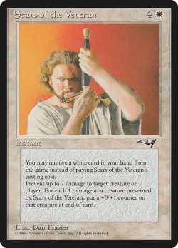 Scars of the Veteran #16 · Magic: The Gathering