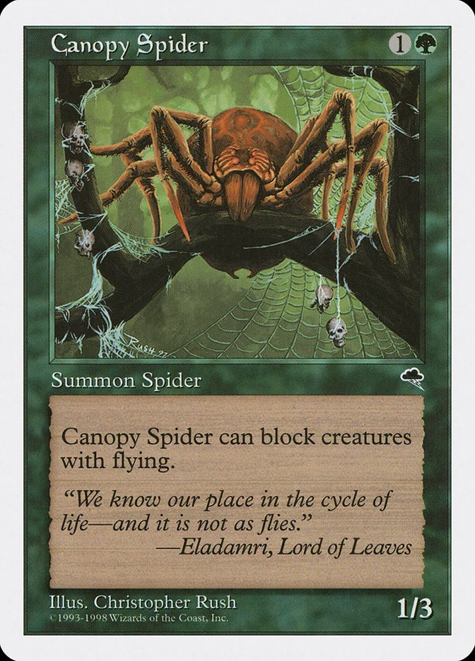 Canopy Spider 「ATH/52」「EN」
