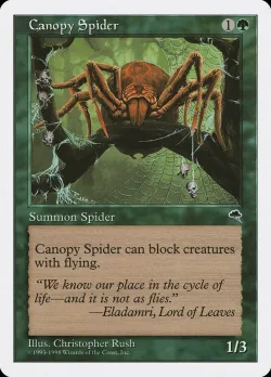 Canopy Spider 「ATH/52」「EN」