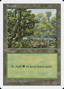 Forest 「ATH/84」「EN」
