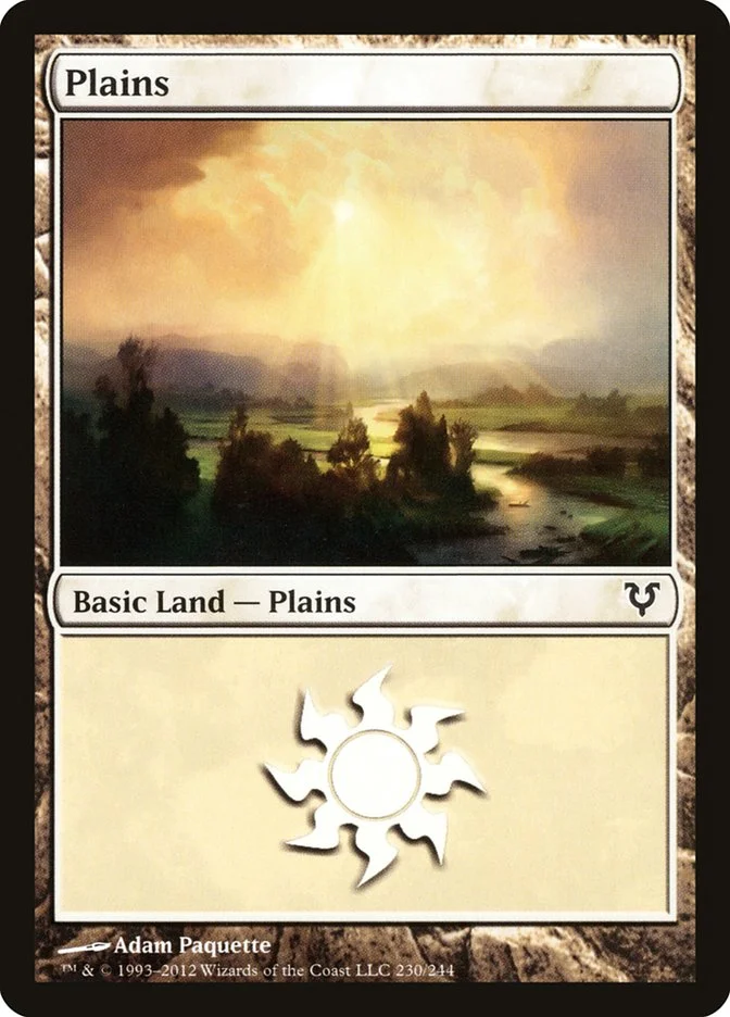 Plains 「AVR/230」「EN」