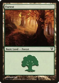 Forest 「AVR/243」「EN」