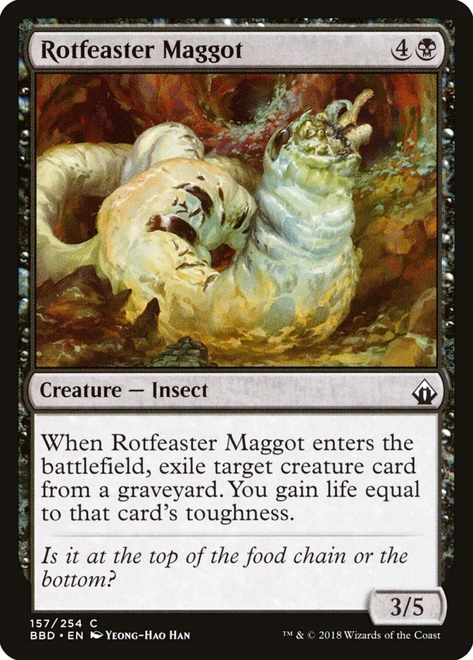 Rotfeaster Maggot 「BBD/157」「EN」