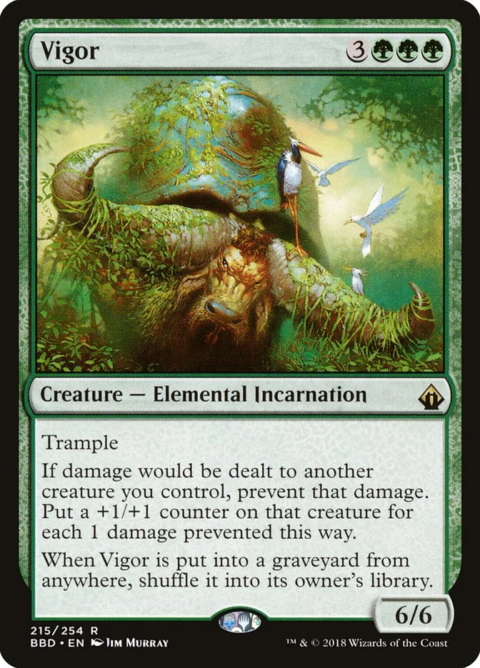 Vigor 「BBD/215」「EN」