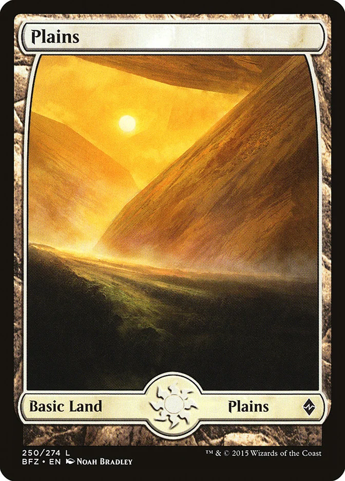 Plains 「BFZ/250」「EN」