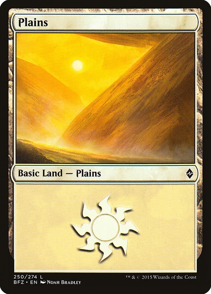 Plains 「BFZ/250a」「EN」