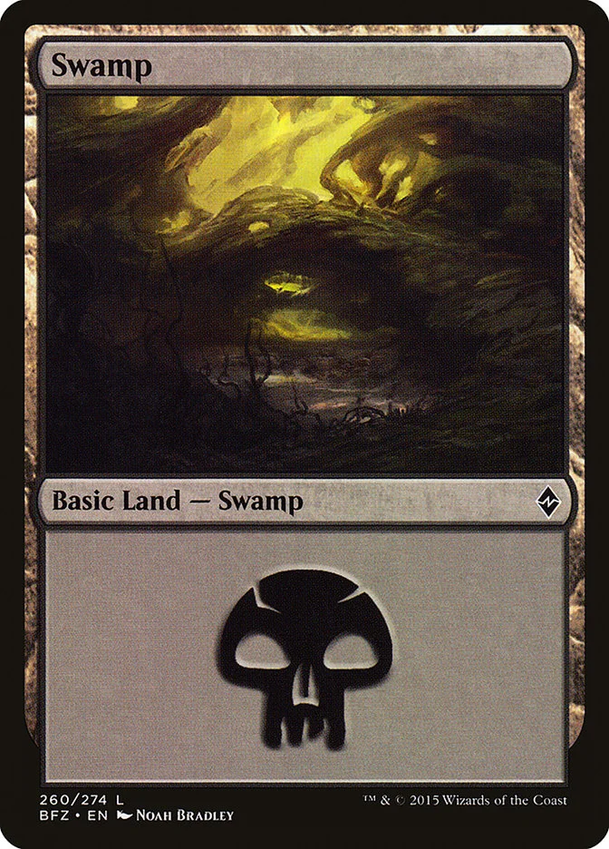 Swamp 「BFZ/260a」「EN」