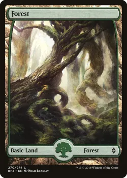 Forest 「BFZ/270」「EN」