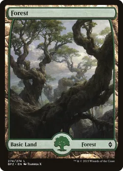Forest 「BFZ/274」「EN」