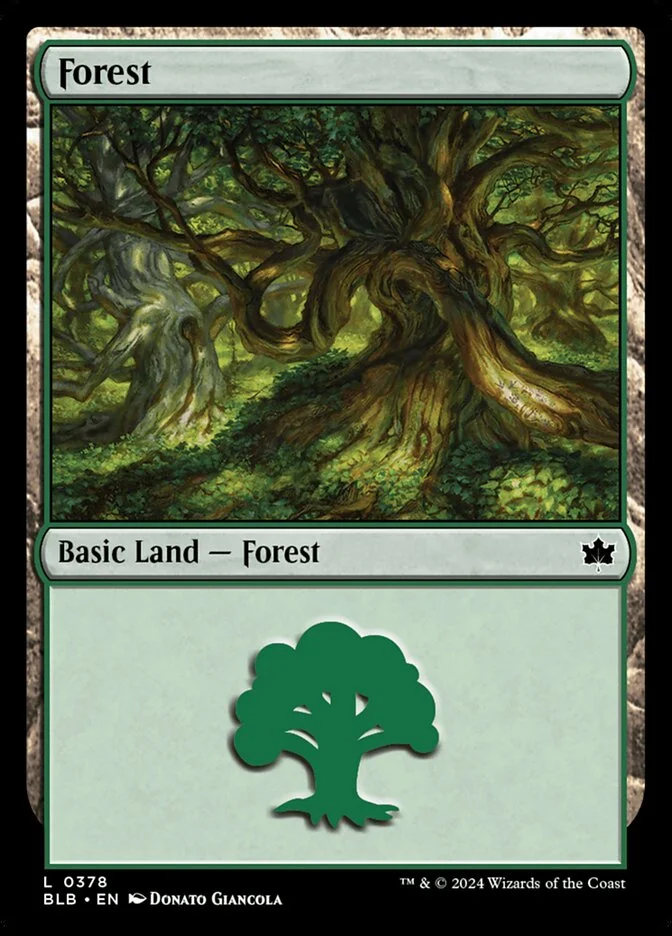Forest 「BLB/378」「EN」