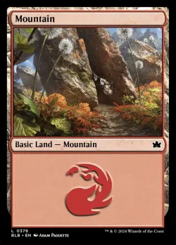 Mountain 「BLB/376」「EN」