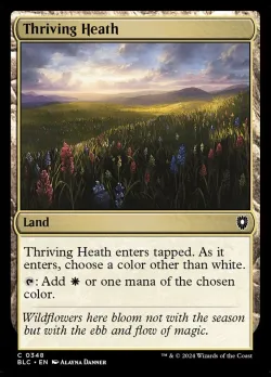 Thriving Heath 「BLC/348」「EN」