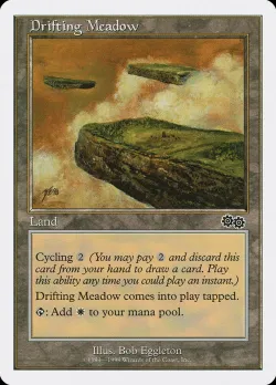 Drifting Meadow #22 · Magic: The Gathering