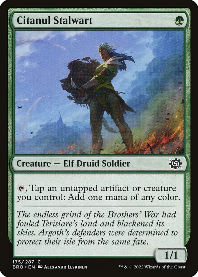 Citanul Stalwart 「BRO/175」「EN」