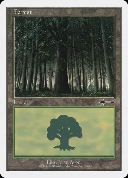 Forest 「BTD/89」「EN」