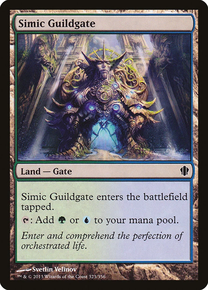 Simic Guildgate 「C13/323」「EN」