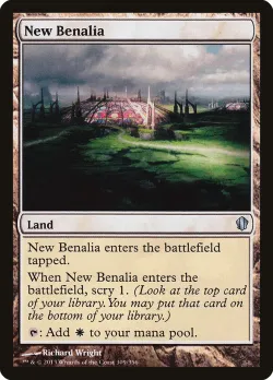 New Benalia 「C13/309」「EN」