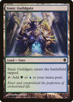 Simic Guildgate 「C13/323」「EN」