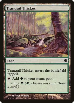 Tranquil Thicket 「C13/329」「EN」