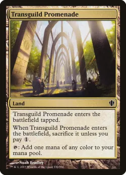 Transguild Promenade 「C13/330」「EN」