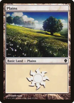 Plains 「C13/337」「EN」