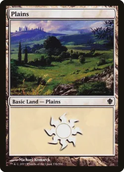 Plains 「C13/338」「EN」
