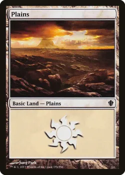 Plains 「C13/339」「EN」