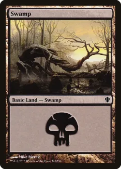 Swamp 「C13/345」「EN」