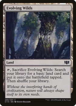 Evolving Wilds 「C14/295」「EN」