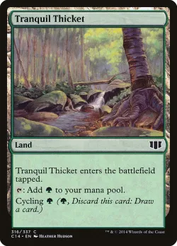 Tranquil Thicket 「C14/316」「EN」