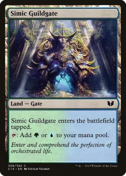 Simic Guildgate 「C15/306」「EN」
