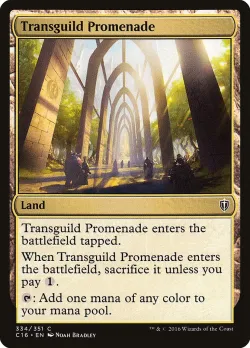 Transguild Promenade 「C16/334」「EN」
