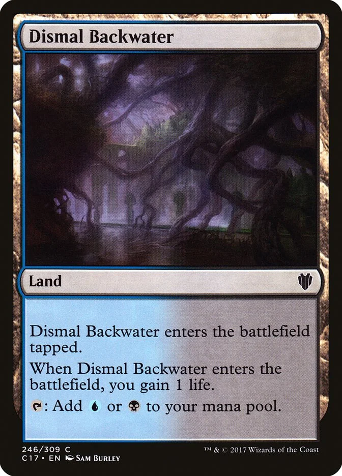 Dismal Backwater 「C17/246」「EN」