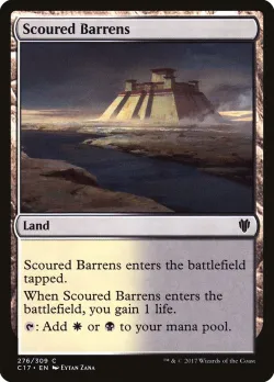 Scoured Barrens 「C17/276」「EN」