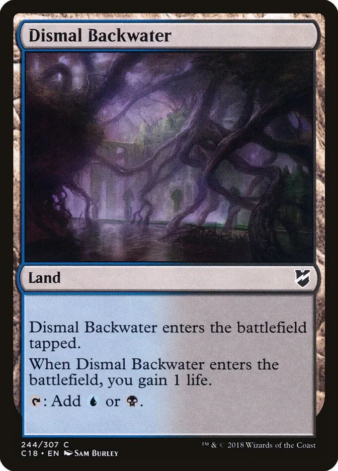 Dismal Backwater 「C18/244」「EN」