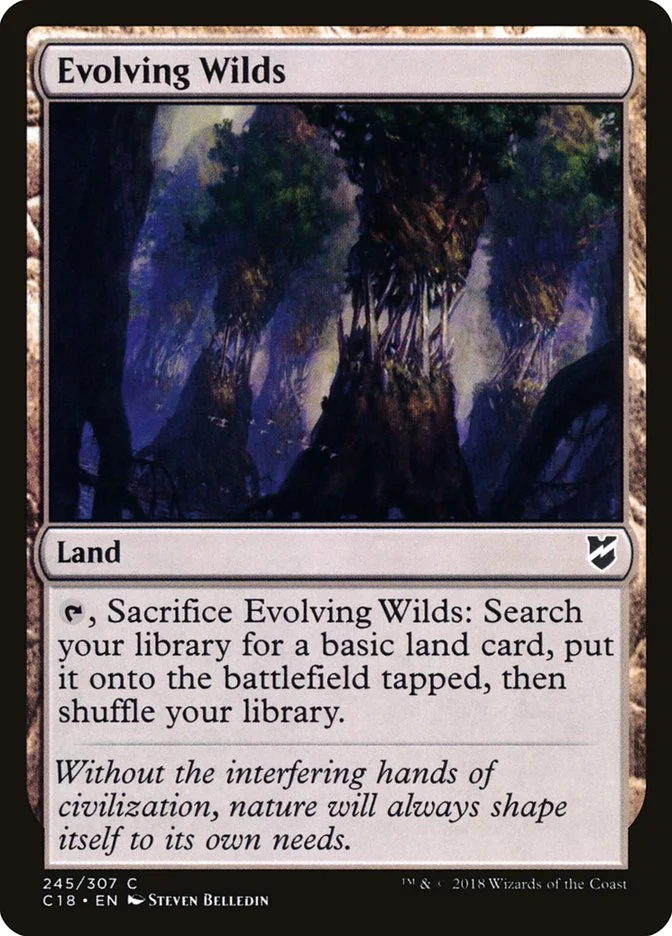 Evolving Wilds 「C18/245」「EN」