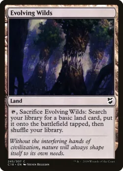 Evolving Wilds #245 · Magic: The Gathering