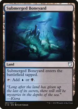 Submerged Boneyard 「C18/283」「EN」