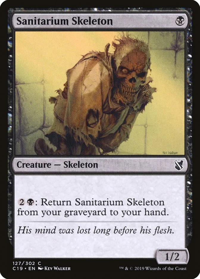 Sanitarium Skeleton 「C19/127」「EN」