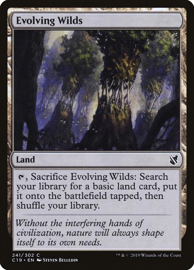 Evolving Wilds 「C19/241」「EN」