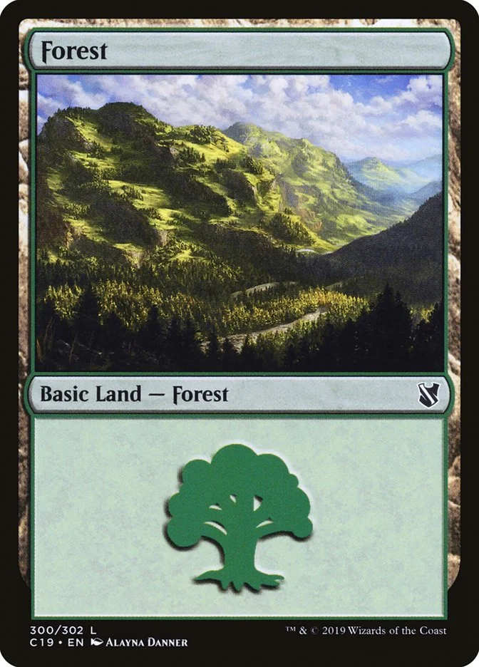 Forest 「C19/300」「EN」